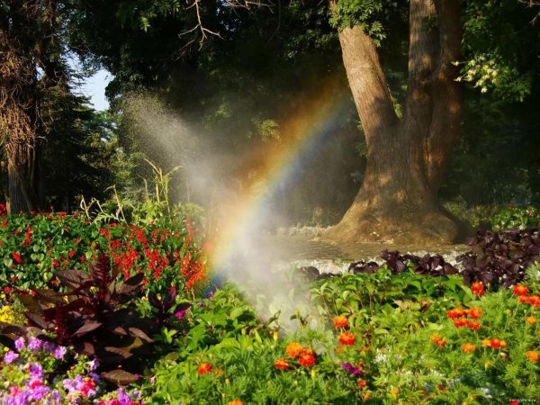 фонтан радуги
