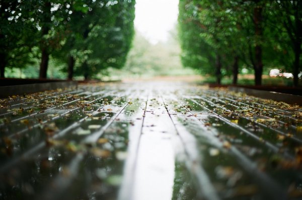 дождливая осень