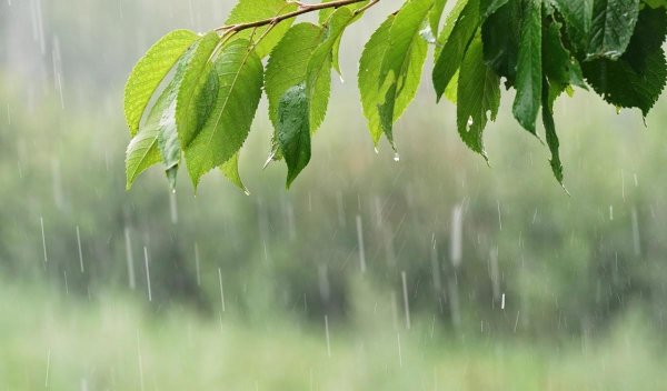 весенние дожди