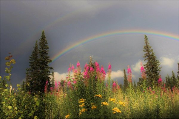 пейзаж с радугой