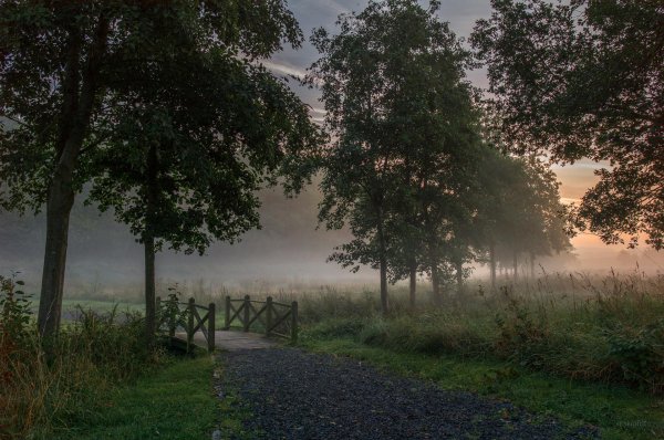 туманные пейзажи