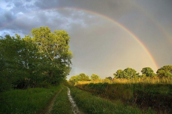 радуга над полем