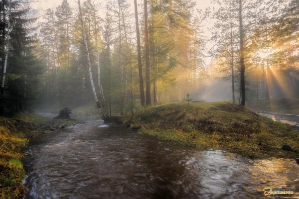 пейзаж река