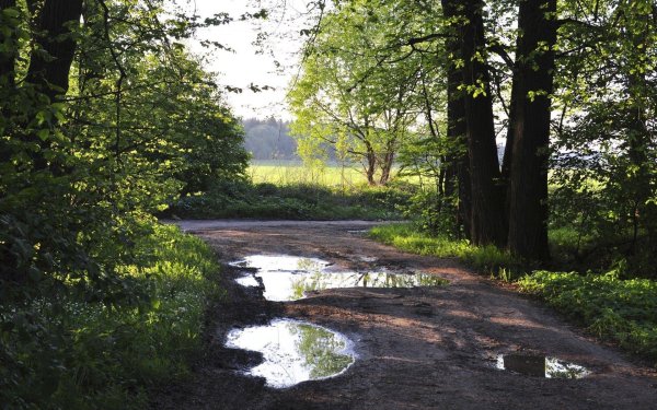 лето пейзаж