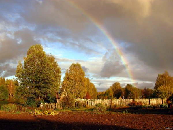 радуга осенью