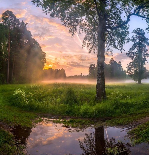 федор лашков павловский парк