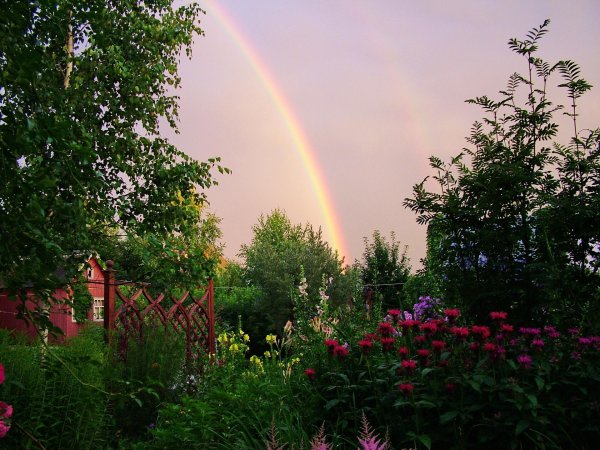пейзаж с радугой