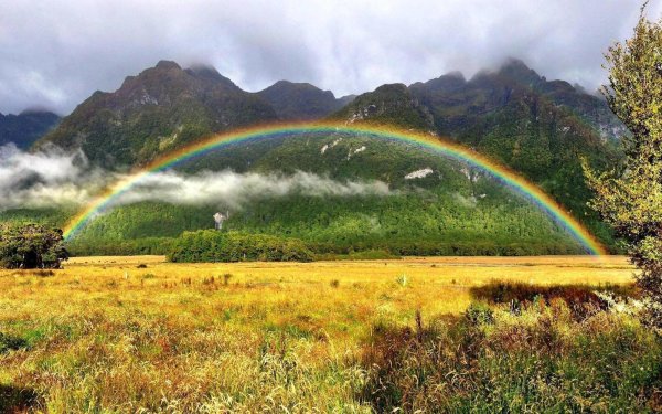 удивительный мир природы