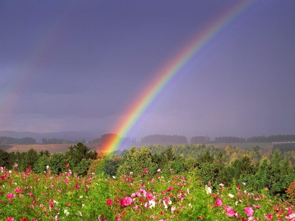 пейзаж с радугой