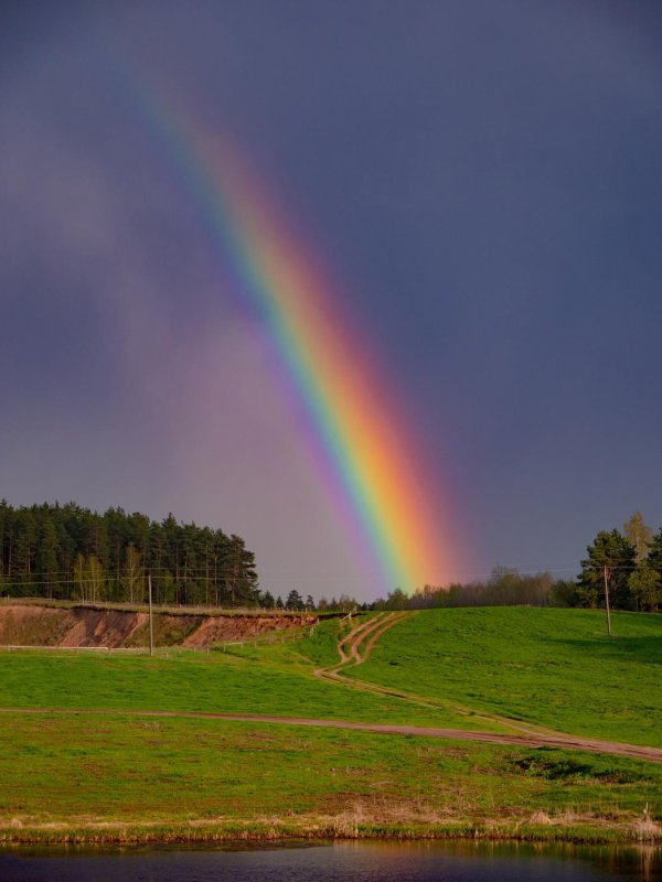 радуга над полем