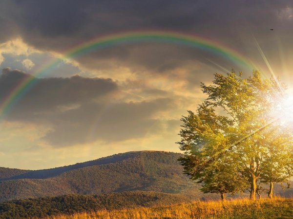 солнце радуга