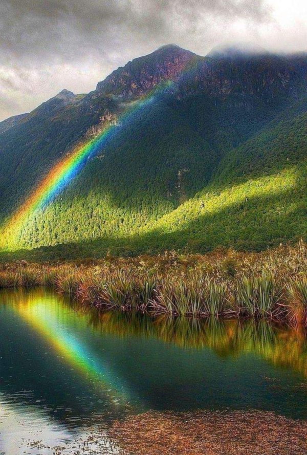 природа с радугой