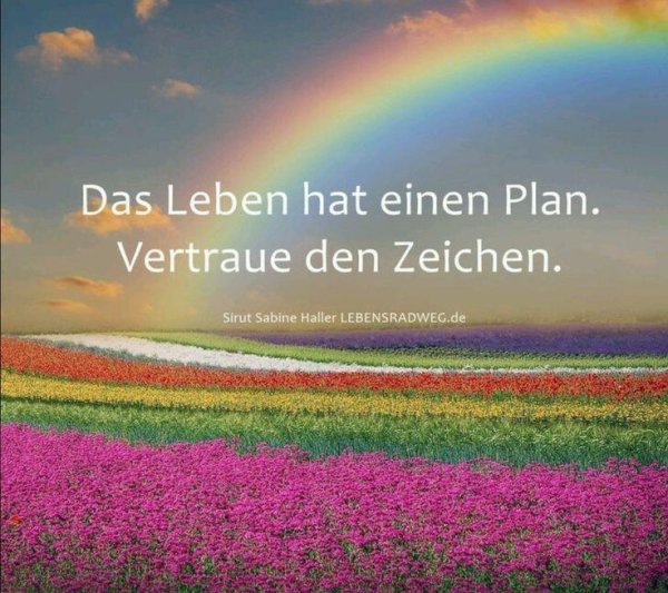 цвета радуги