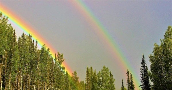 явление неживой природы радуга