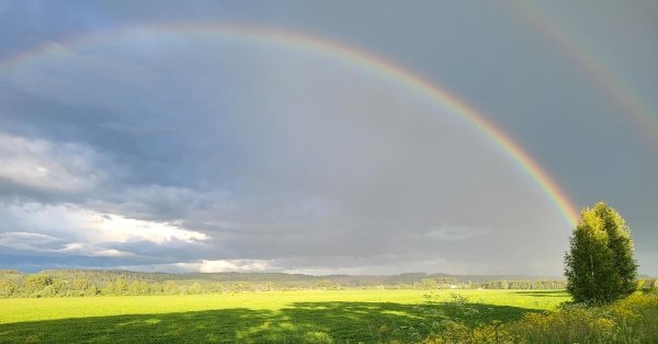 лето радуга