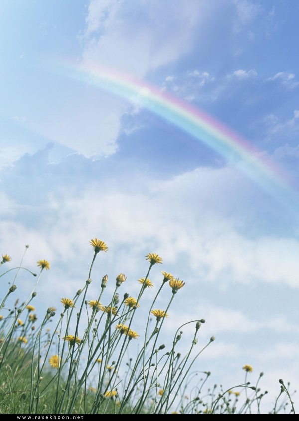 небо с радугой