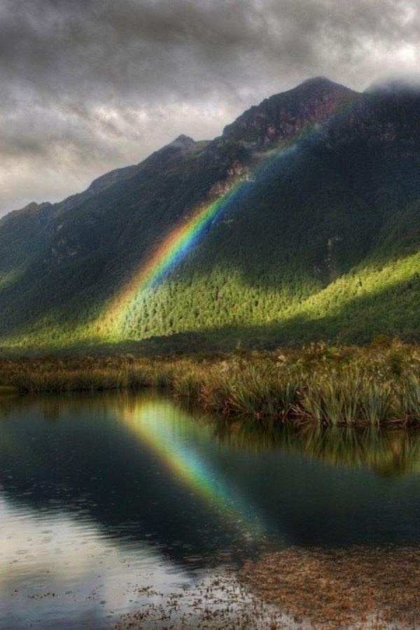 природа с радугой