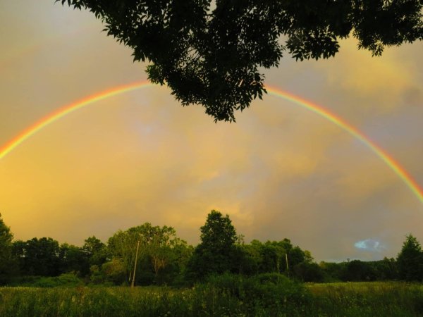 летняя радуга