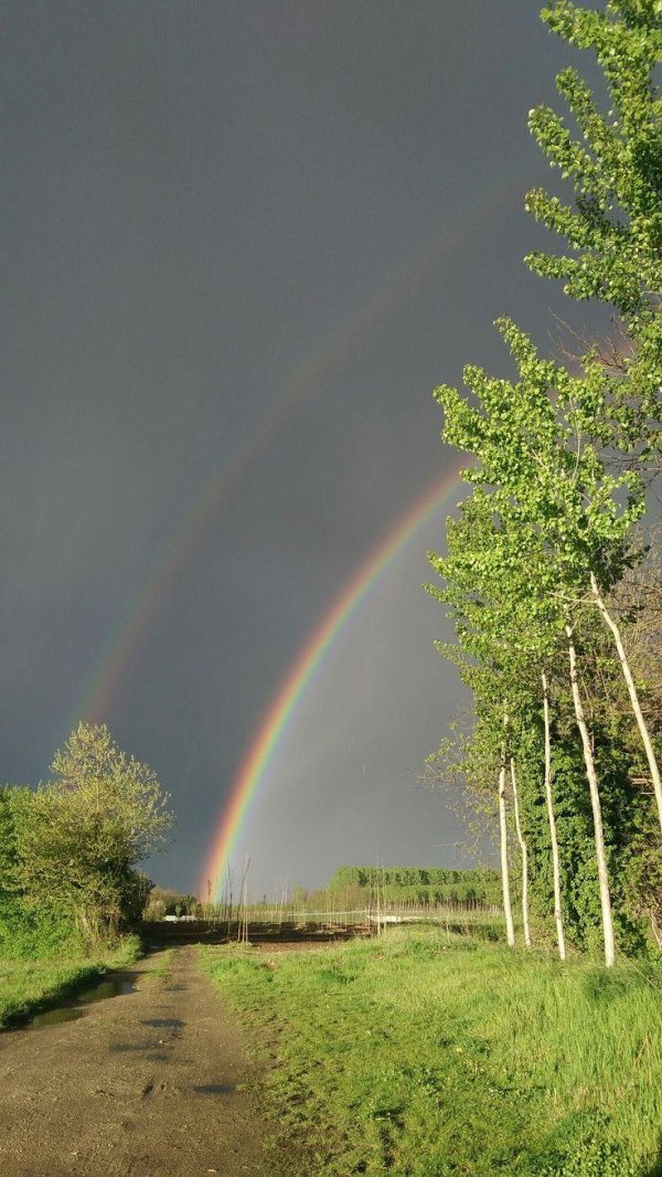 летняя радуга