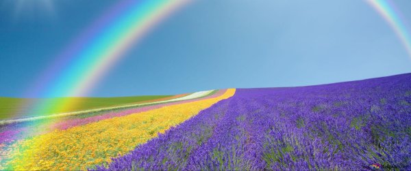 renungan harian kristen