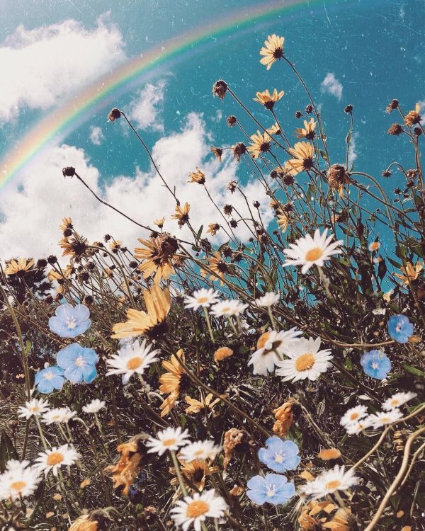 летнее вдохновение