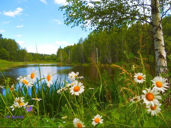 фотопейзажи сергея краева