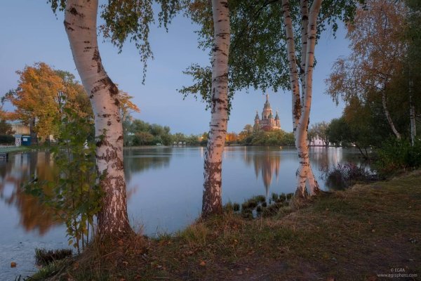 ольгин пруд в петергофе