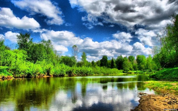 летние пейзажи