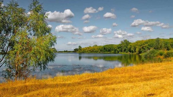 родной край