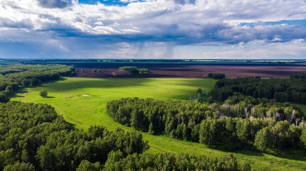 лесостепи восточно европейской равнины