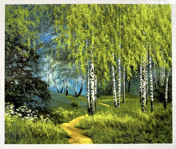 жуковский станислав лес берёзовая роща