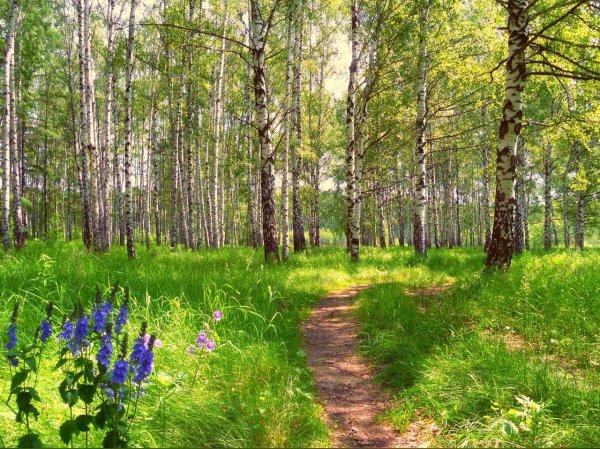 фото русской природы