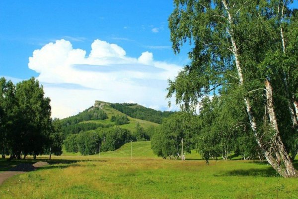 удмуртия холмистая равнина