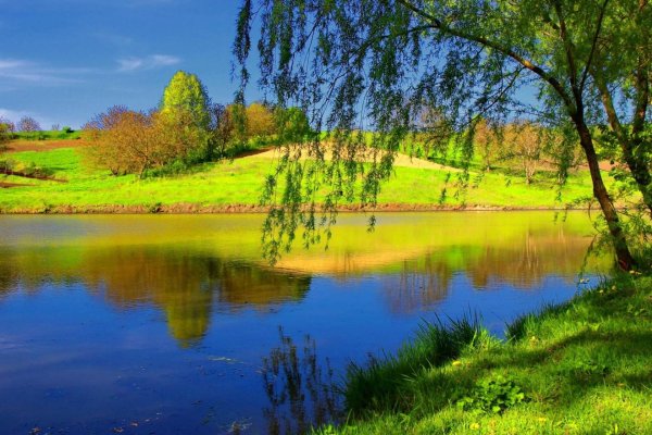 летние пейзажи