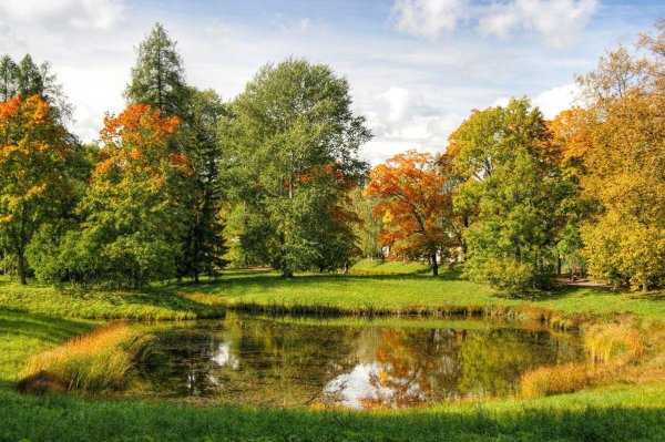 осень ранняя