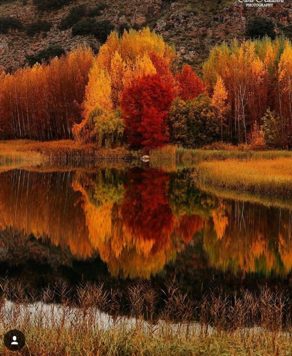 осенняя красота природы