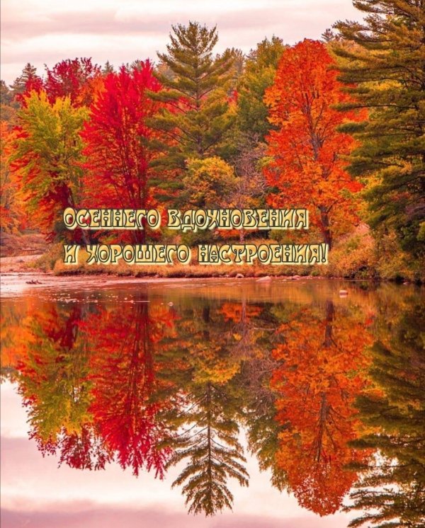 с добрым осеннем утром