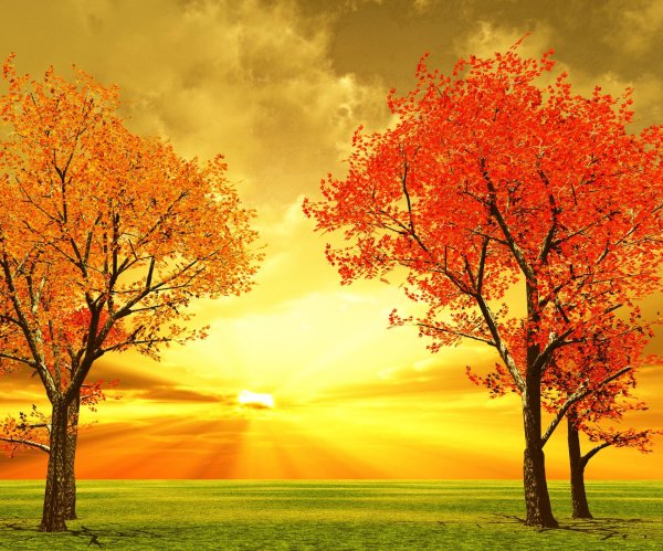 Осени природа для детей