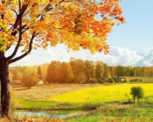 осенние пейзажи