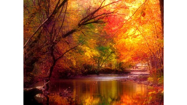 яркий осенний пейзаж