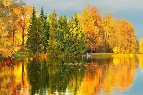 природа осени