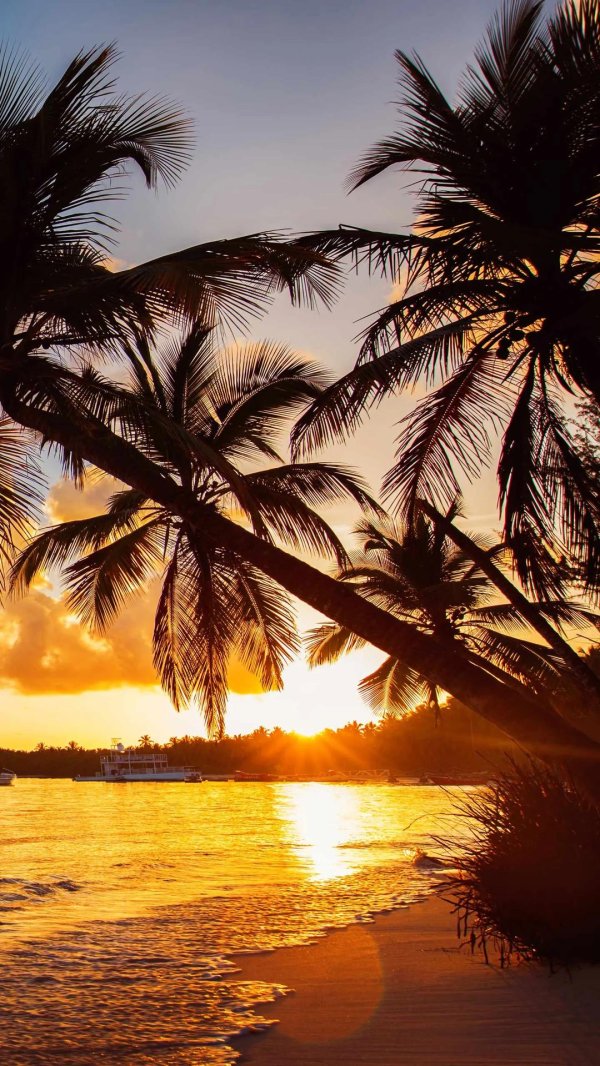 пляж с пальмами