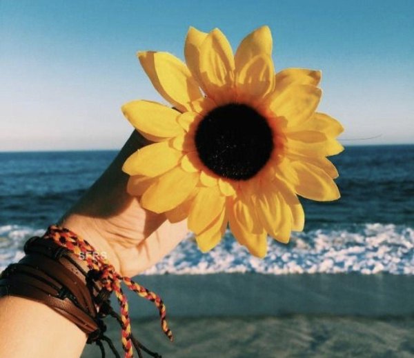 букет подсолнухов