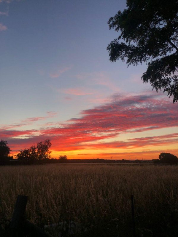 закат летний