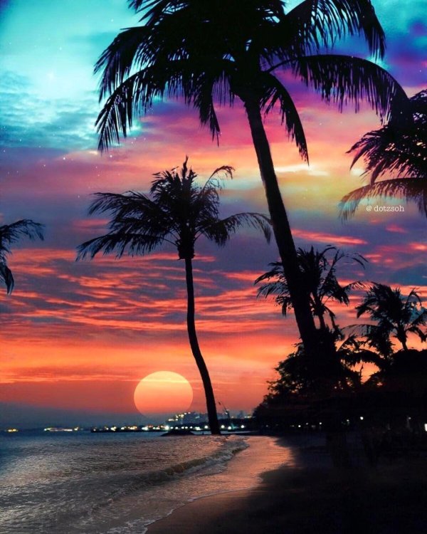 пейзаж с пальмами