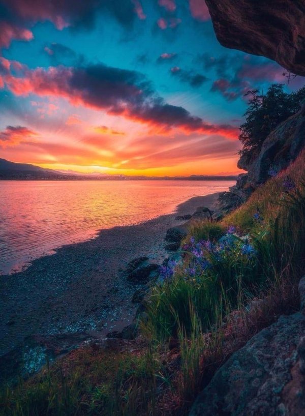 красота заката