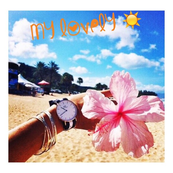 гавайские цветы