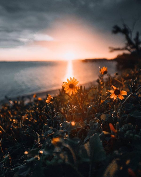 пейзажи природа