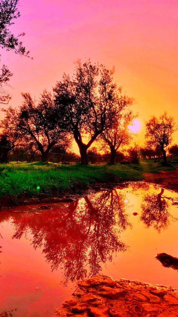 пейзажи красивые