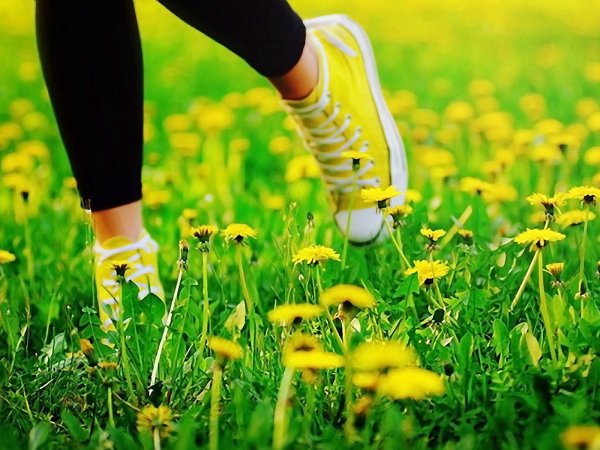 желтые кеды